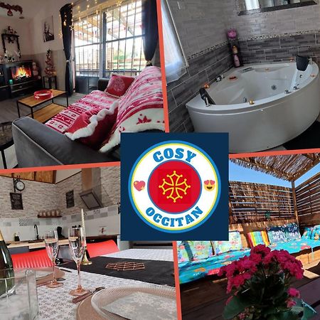 Le Cosy Occitan Villa Chaleureuse Independante Baignoire Terrasse Jardin Каркассонн Екстер'єр фото