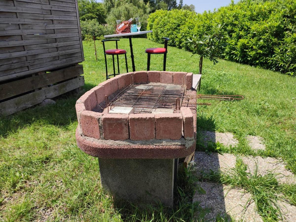 Le Cosy Occitan Villa Chaleureuse Independante Baignoire Terrasse Jardin Каркассонн Екстер'єр фото